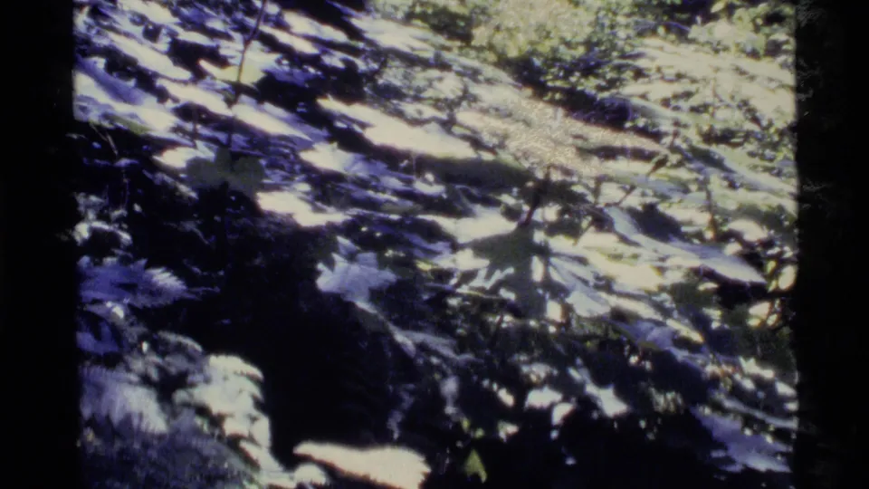 Handheld 1977 Alaska home-movie frame showing a rocky woodland surface, scattered leaves, and high-contrast sun through trees.