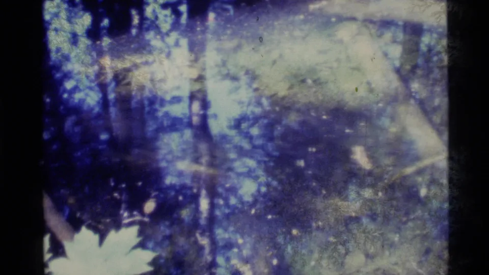 1977 Alaska home-movie frame with dark leaves, tree shadows, and pale sunlit patches in a wooded setting.