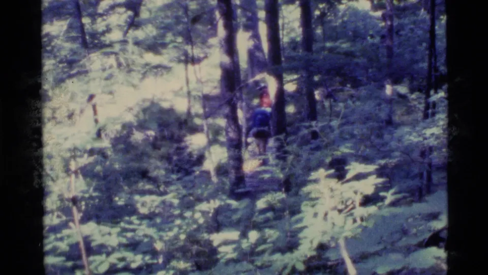 1977 Alaska 8mm frame showing a distant hiker moving away through dense, sun-dappled woodland.