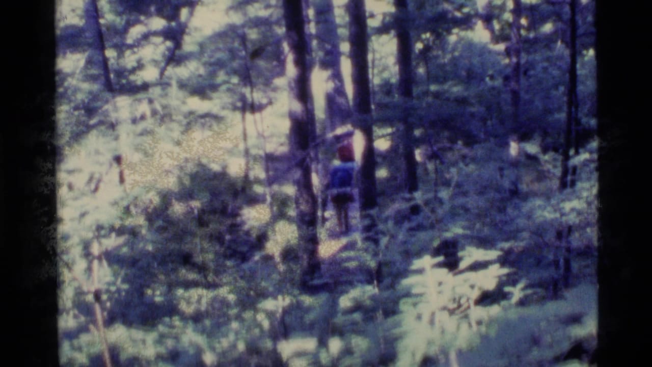 Backpacked hiker walking away on a narrow forest trail among tall trees.