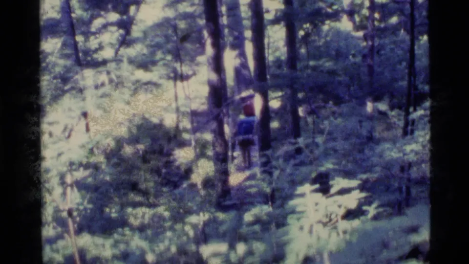 In 1977 Alaska home-movie footage, a hiker in a blue shirt and backpack walks away through a sun-dappled forest trail.