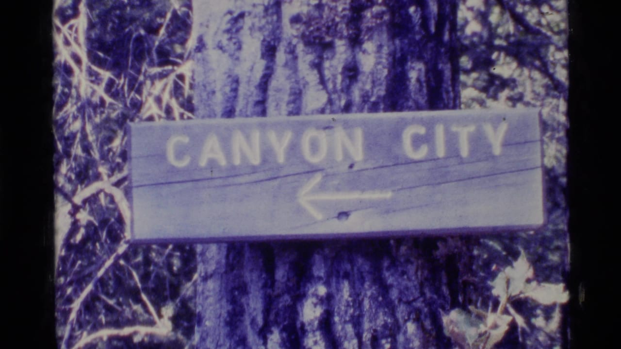 Wooden Canyon City sign with arrow mounted on a tree in dense forest.