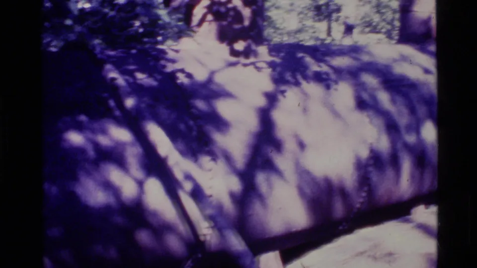 Soft 1977 Alaska 8mm frame of a rusted cylindrical tank or large pipe section, partly obscured by branches and forest shadow.