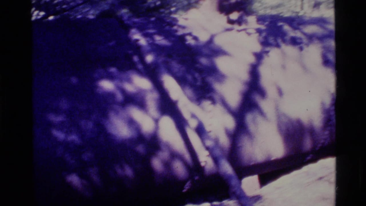 1977 Alaska 8mm frame with a blurred, purple-cast view of branches and a partly seen metal structure in shade.
