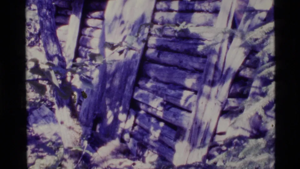 1977 Alaska 8mm frame showing a tilted handheld view of a damaged log cabin wall surrounded by trees and rough vegetation.