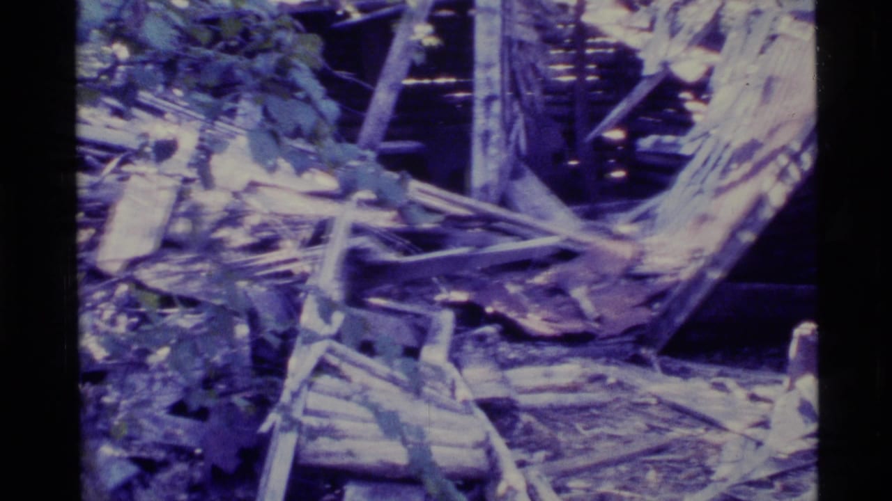 Collapsed wooden wreckage and foliage in a forested area with a purple-blue film cast.