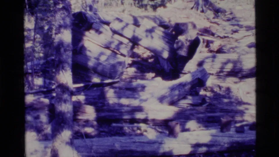 1977 Alaska home-movie frame with motion blur across wreckage, trees, and scattered boards after the reported slide.