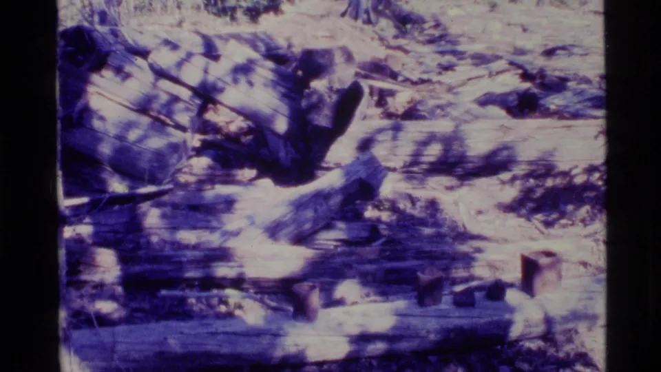 1977 Alaska 8mm frame showing scattered structural debris and forest floor in the rock slide aftermath.