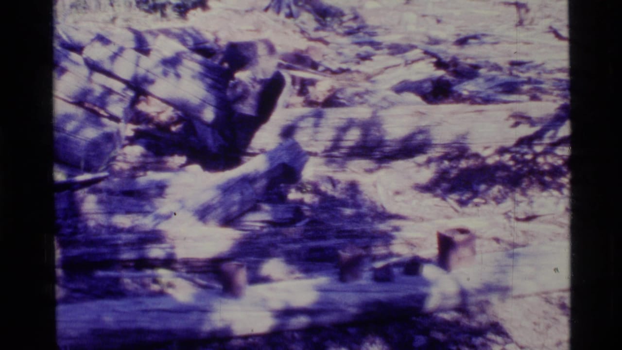 1977 Alaska 8mm frame showing felled logs used as a makeshift surface with small containers or tool-like objects nearby.