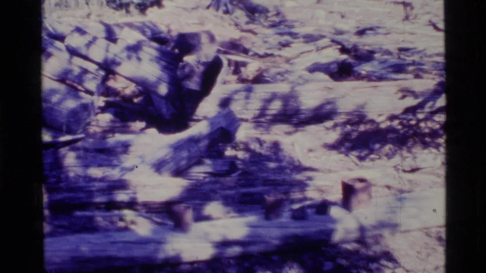 1977 Alaska 8mm frame showing felled logs used as a makeshift surface with small containers or tool-like objects nearby.