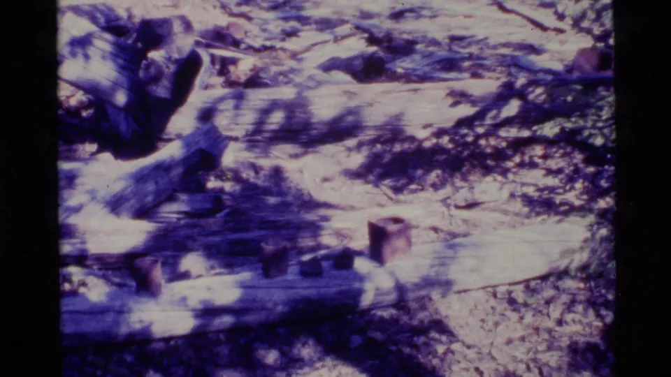 1977 Alaska home-movie frame of a log surface in a forest clearing, with a small upright vessel and dark objects on the wood.