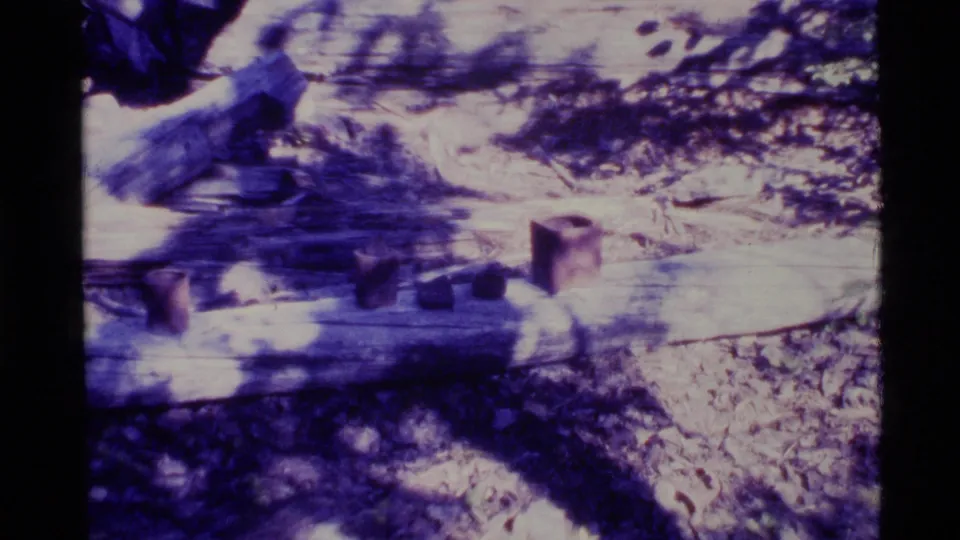 1977 Alaska 8mm frame with motion blur over felled logs and small objects arranged on a makeshift outdoor work surface.