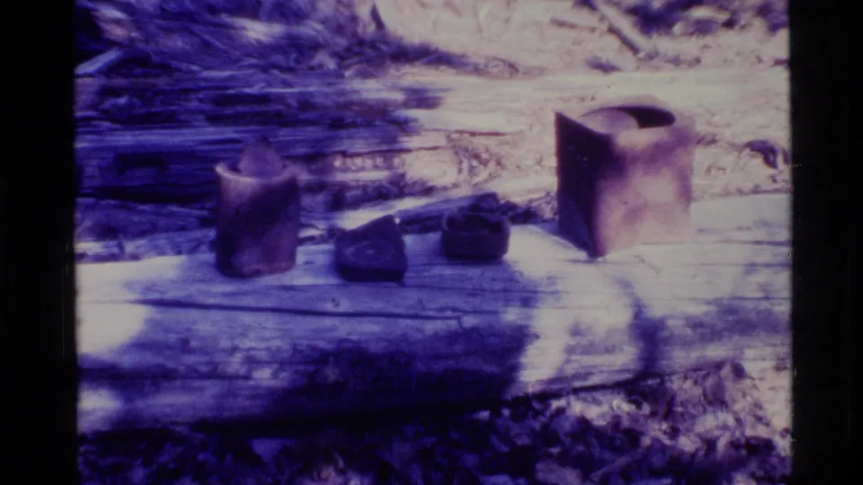 1977 Alaska home-movie frame showing a large mold-like container, a smaller cup-shaped vessel, and dark objects on a felled log.