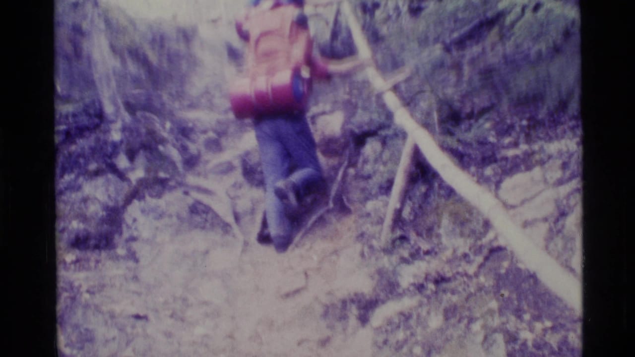 A hiker with a red backpack ascends a rugged Alaska mountain trail, using a wooden railing on the steep path.