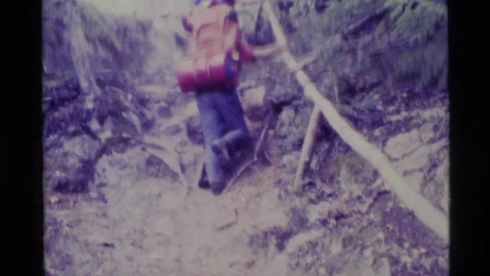 A hiker with a red backpack ascends a rugged Alaska mountain trail, using a wooden railing on the steep path.