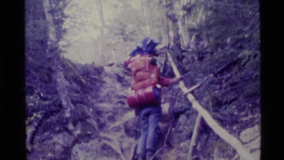 The hiker continues upward through a root-filled forest trail in Alaska, filmed from behind in handheld 8mm style.