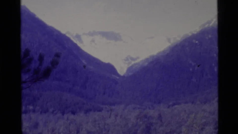1977 Alaska 8mm frame showing a bright snowy mountain gap beyond dark forest and blurred foreground branches.