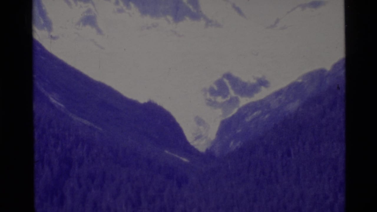 Snowy mountains and dark wooded slopes seen through a soft purple film image.