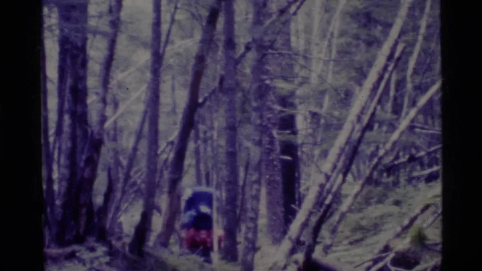 1977 Alaska 8mm frame with a backpacked hiker partially visible among tall trees and undergrowth on a forest trail.