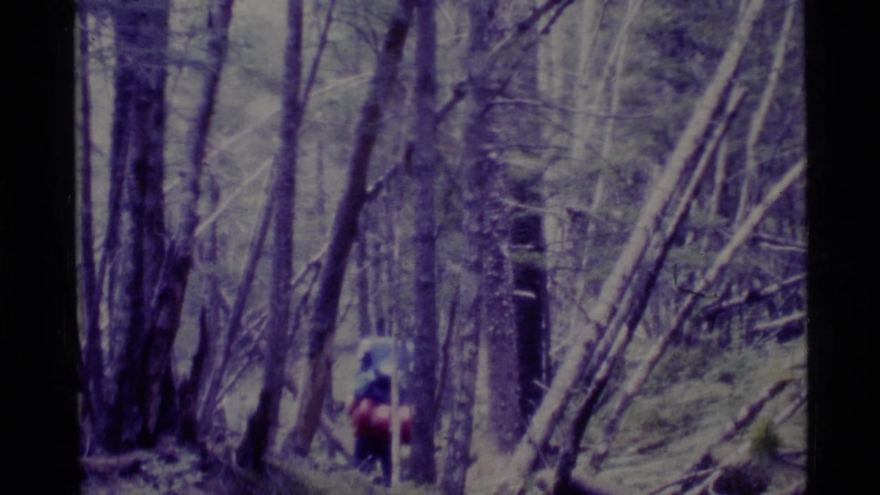 A backpacked hiker moves along a wooded Alaska trail in soft, grainy 1977 8mm home-movie footage.