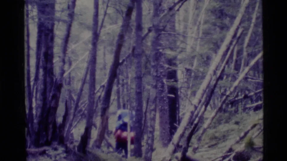 A backpacked hiker moves along a wooded Alaska trail in soft, grainy 1977 8mm home-movie footage.