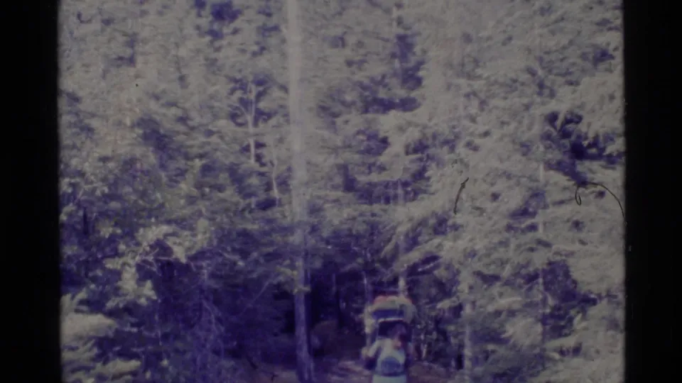 A distant backpacked hiker appears on a forest path among tall evergreens in vintage Alaska home-movie footage.