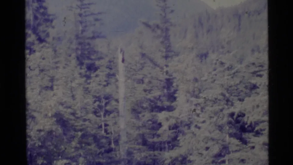 A wooded Alaska landscape fills the frame, with evergreens and a faint mountain slope visible through soft 8mm exposure.