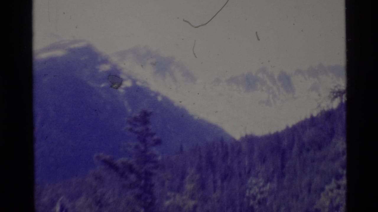 Snowy mountain ridge above dark evergreen forest with visible 8mm film border.