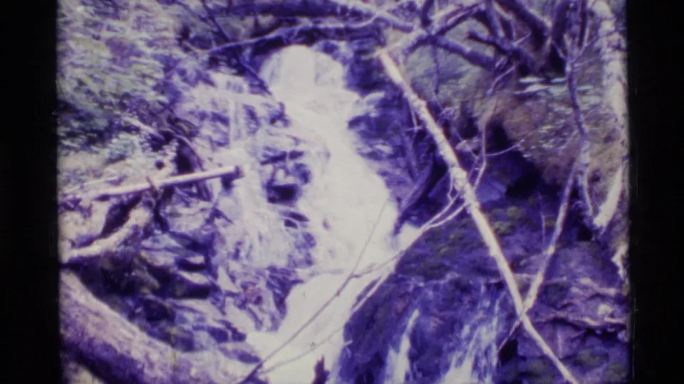 1977 Alaska 8mm close view of turbulent creek water moving through rocks and fallen wood in a forested area.