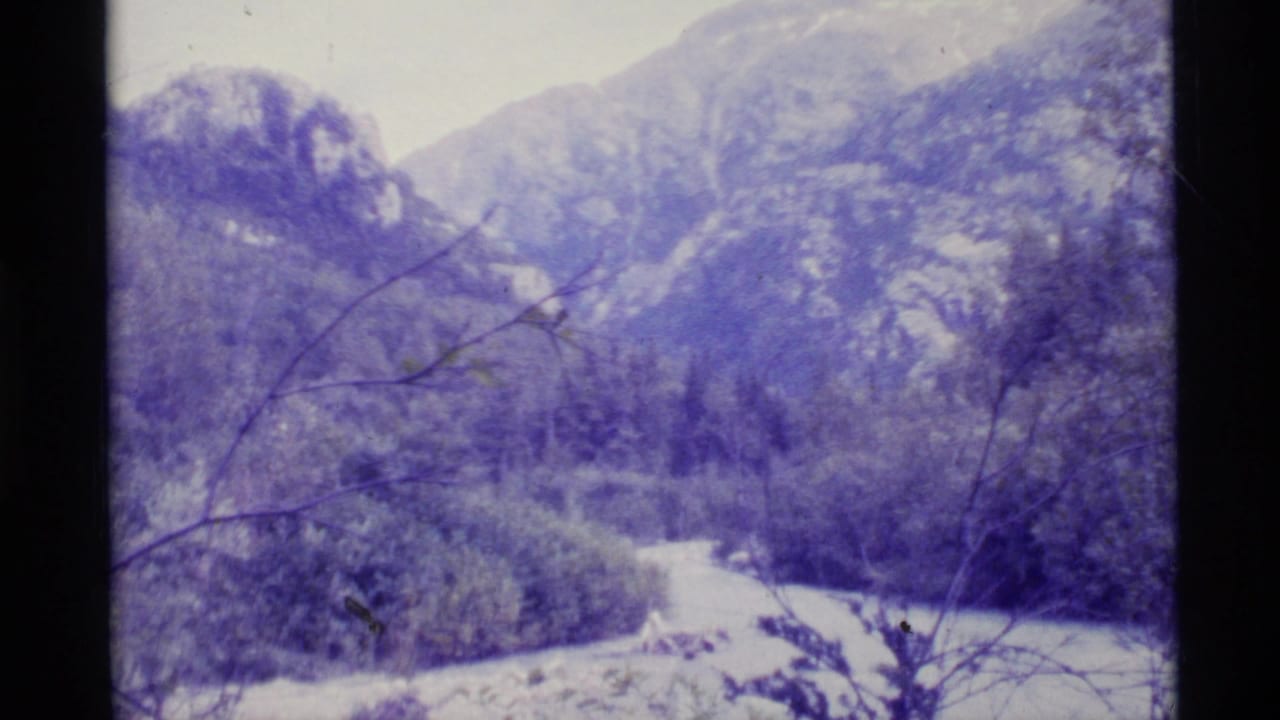 1977 Alaska 8mm frame showing a mountain valley, pale river, dark woodland, and foreground bare branches with faded purple-blue color.