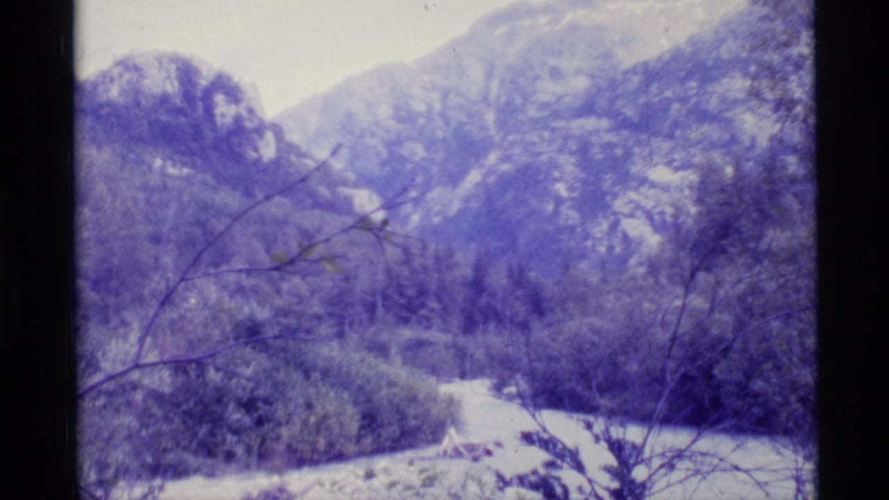 Mountain valley with river and forest seen through thin foreground branches.