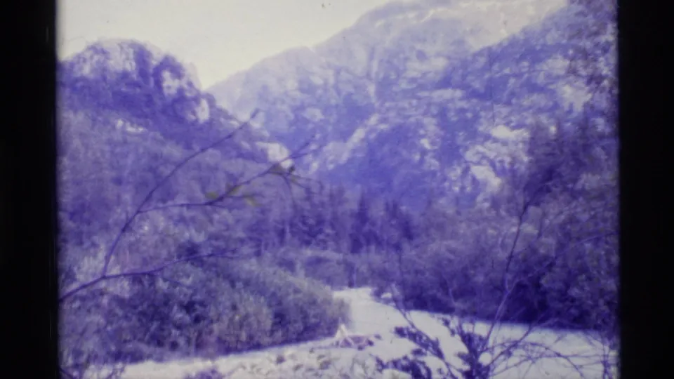 1977 Alaska 8mm view of a river winding below wooded mountains, with bare branches crossing the foreground and visible film grain.