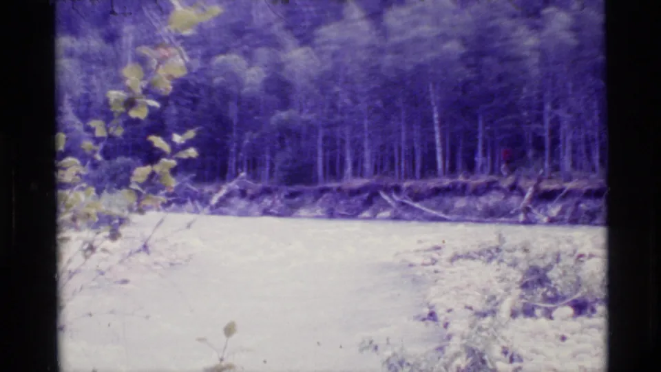 1977 Alaska 8mm frame of a pale river beside a dark stand of trees, with leafy foreground plants and softened, faded color.