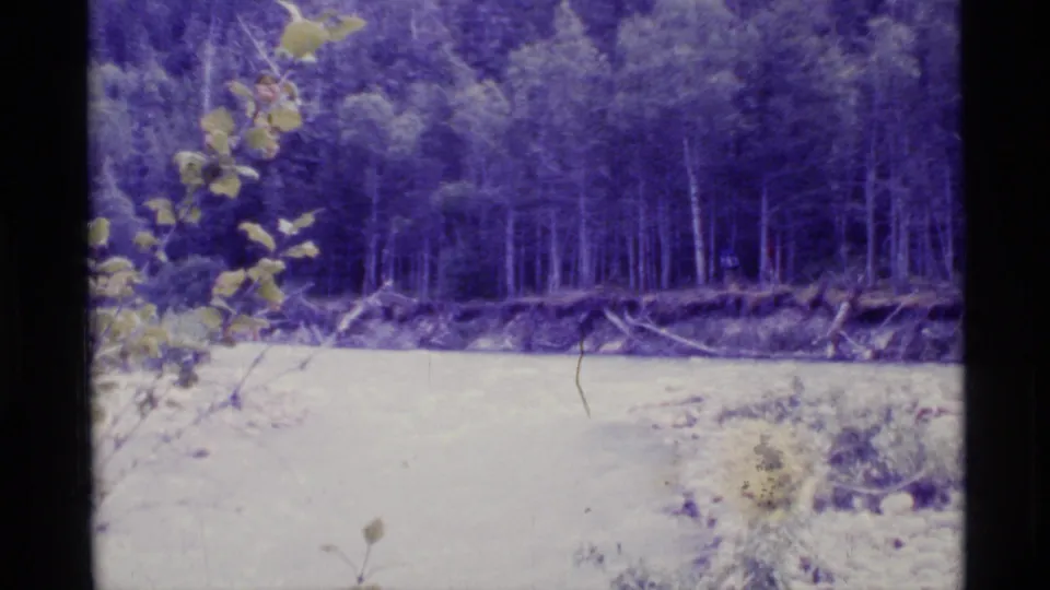 1977 Alaska 8mm view of a riverbank below dense woodland, with foreground leaves, washed exposure, and a visible film scratch.