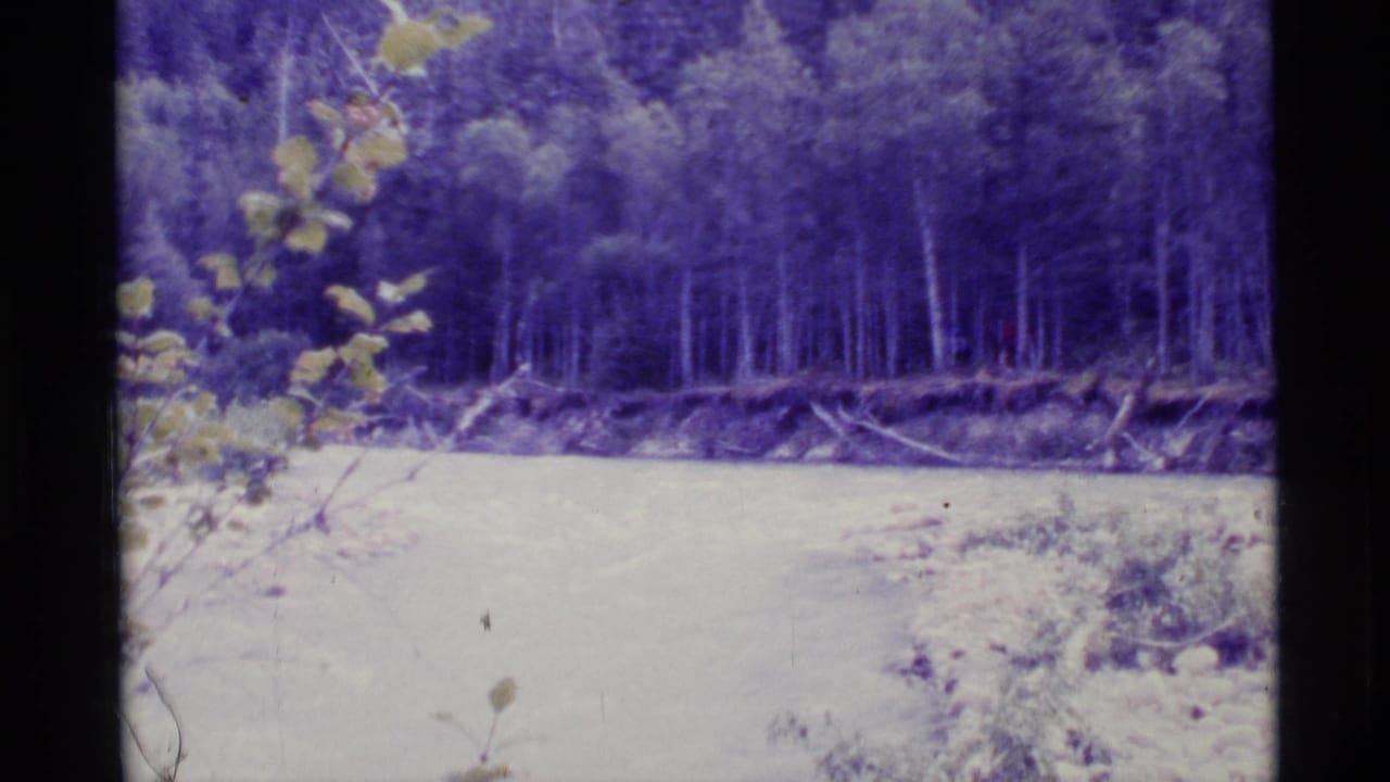 1977 Alaska 8mm frame showing a wooded riverside, pale water, leafy branches, and a tree line across the bank.