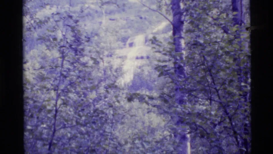 1977 Alaska 8mm frame showing a sun-dappled forest view with trees, dense foliage, and a bright clearing or waterlike glow beyond.