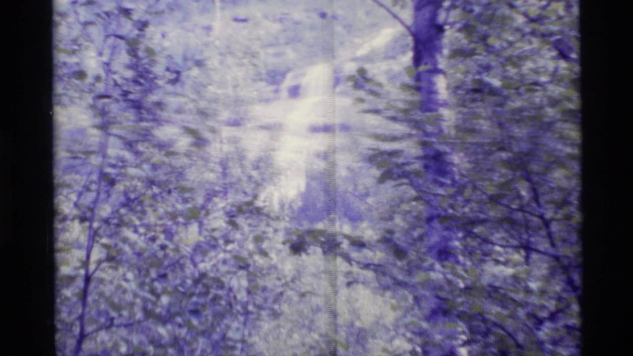 Trees and leafy branches partially obscure a pale waterfall in a forest.