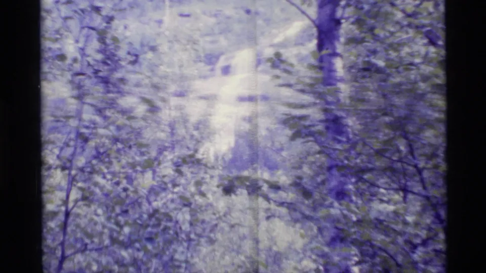 1977 Alaska 8mm frame showing a waterfall glimpsed through dense trees and foliage with a blue-purple film cast.