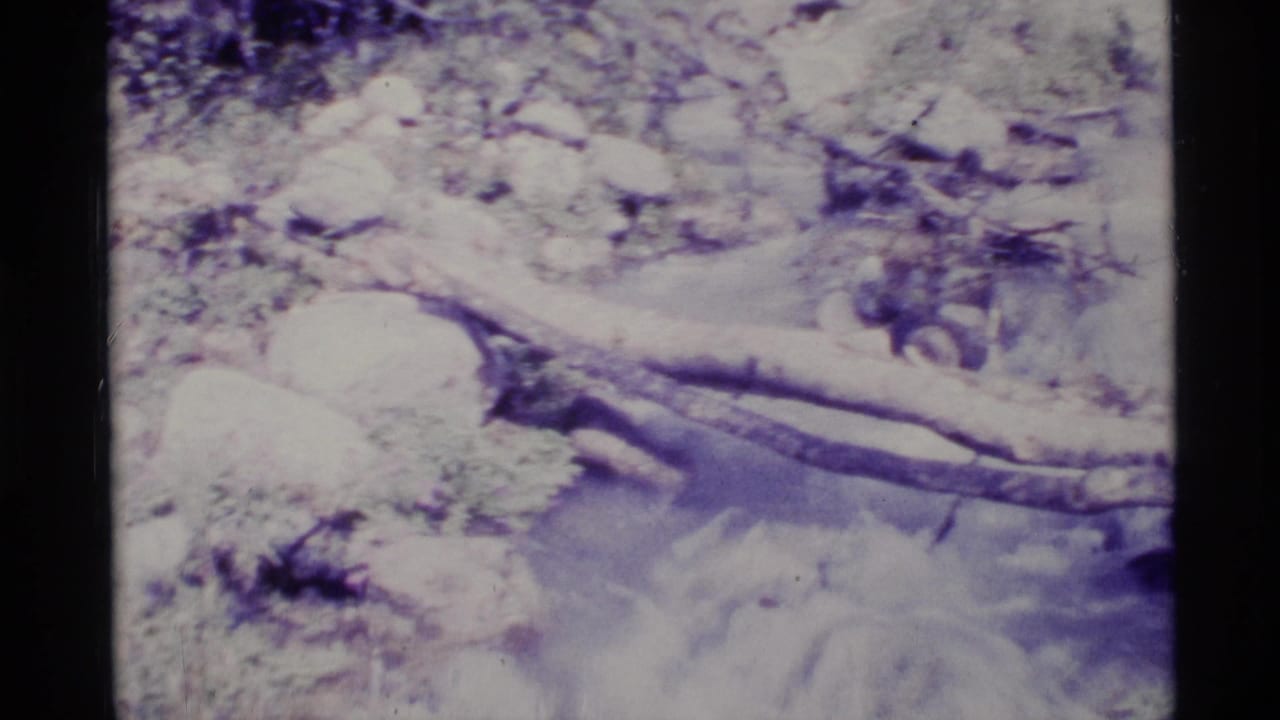 1977 Alaska 8mm frame showing a shallow rocky stream bed and a dark branch or fallen limb in bright, faded light.