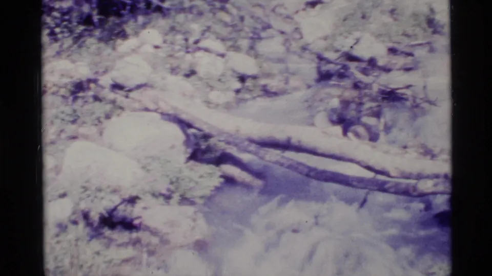 1977 Alaska 8mm frame showing a shallow rocky stream bed and a dark branch or fallen limb in bright, faded light.
