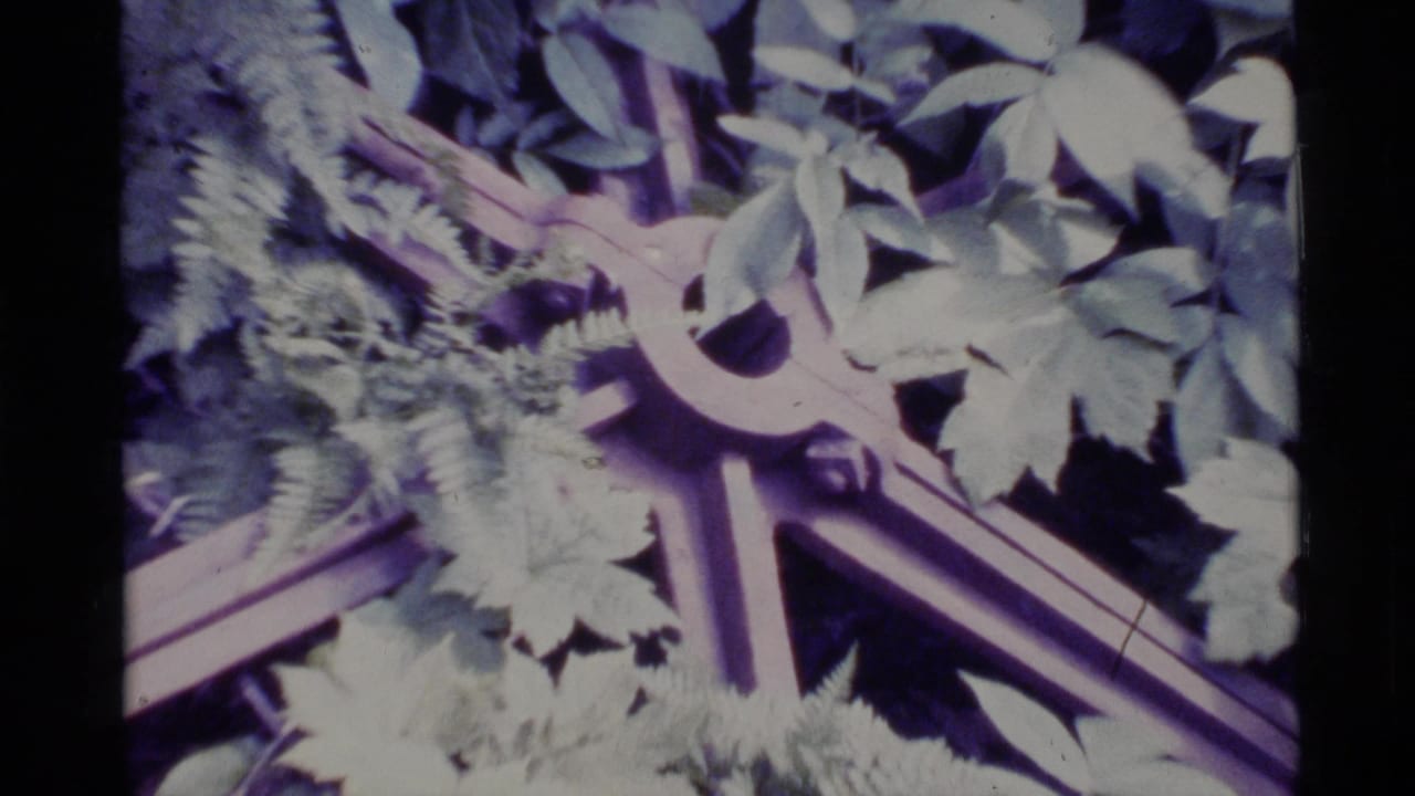 1977 Alaska 8mm frame showing a weathered spoked wheel or carriage part partly buried in dense green foliage.