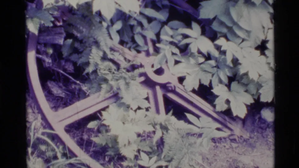 Overgrown wheel rim and spokes seen close up in 1977 Alaska home-movie footage with heavy color shift.