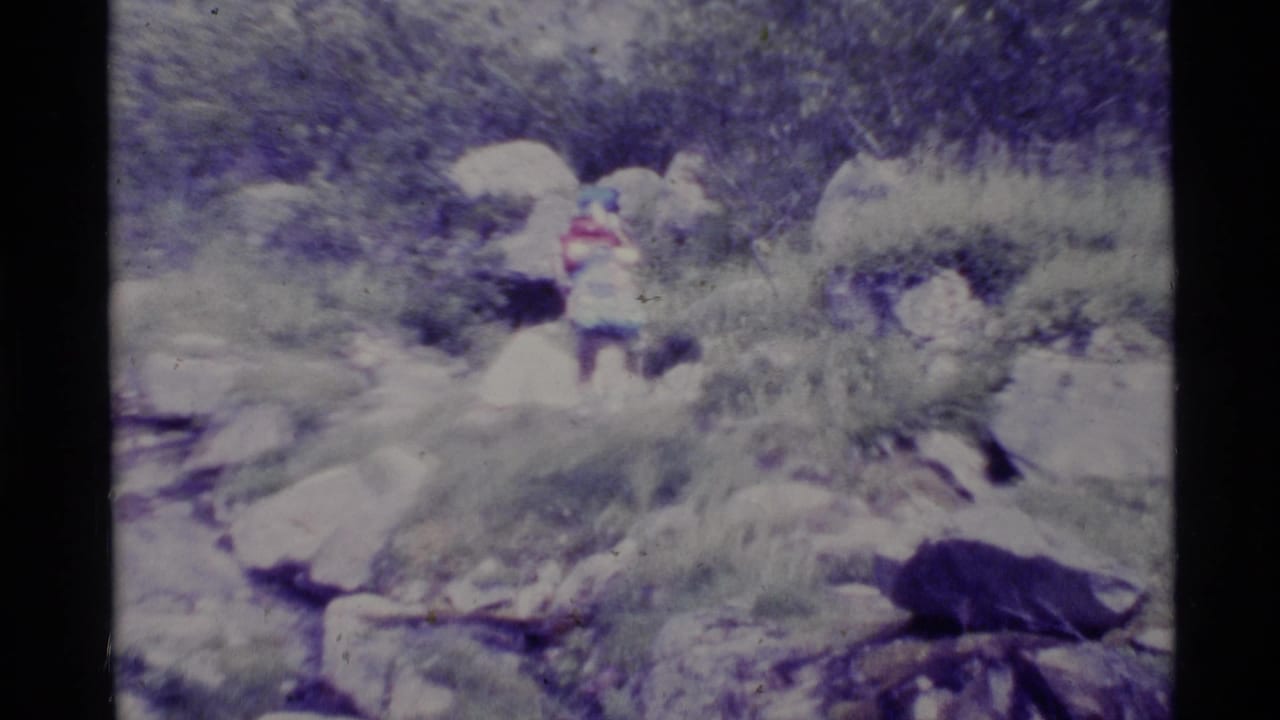 A person stands among rocks and low brush on a mountain slope.
