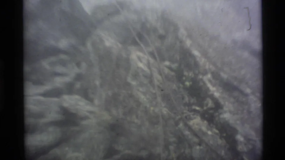 A soft 8mm close-up shows pale alpine vegetation or brush in muted foggy light, with no people clearly visible in this frame.