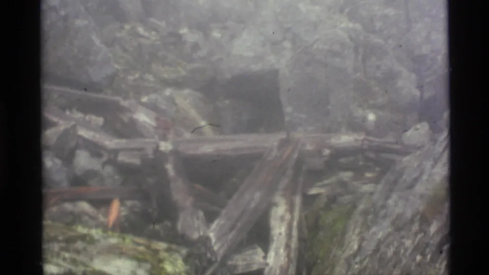 A distant, indistinct hiker appears amid rough Alaska brush and fallen wood, partly obscured by fog and soft 8mm exposure.
