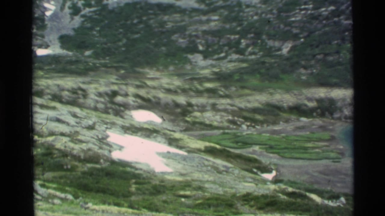 1977 8mm Alaska footage appears to show a rocky alpine slope with green ground cover and lingering snow patches.