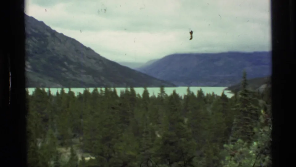 1977 Alaska 8mm frame showing a moving view over trees toward glacial water and layered mountain ridges.