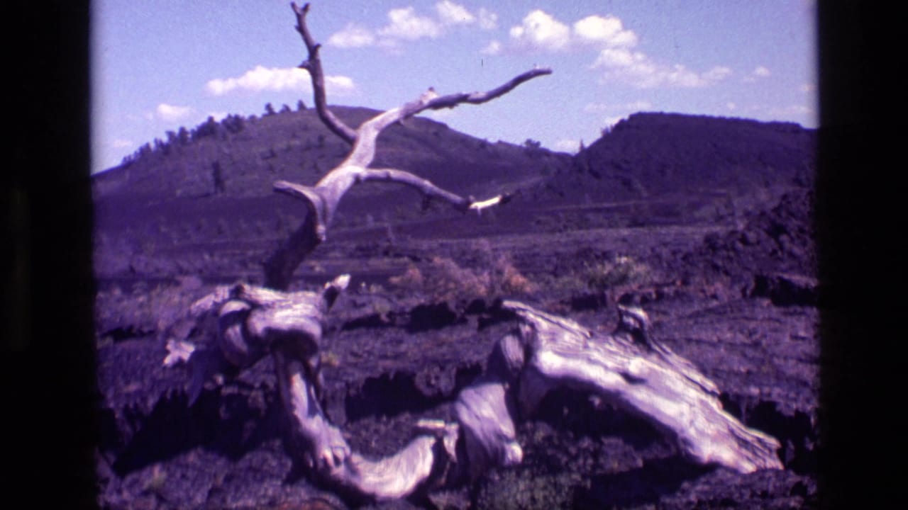 1972 Idaho 8mm frame showing a twisted dead tree trunk across dark rocky terrain with low hills and scattered clouds beyond.