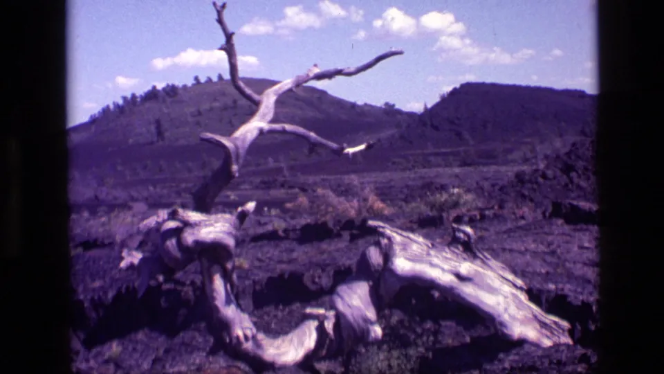 1972 Idaho 8mm frame showing a twisted dead tree trunk across dark rocky terrain with low hills and scattered clouds beyond.