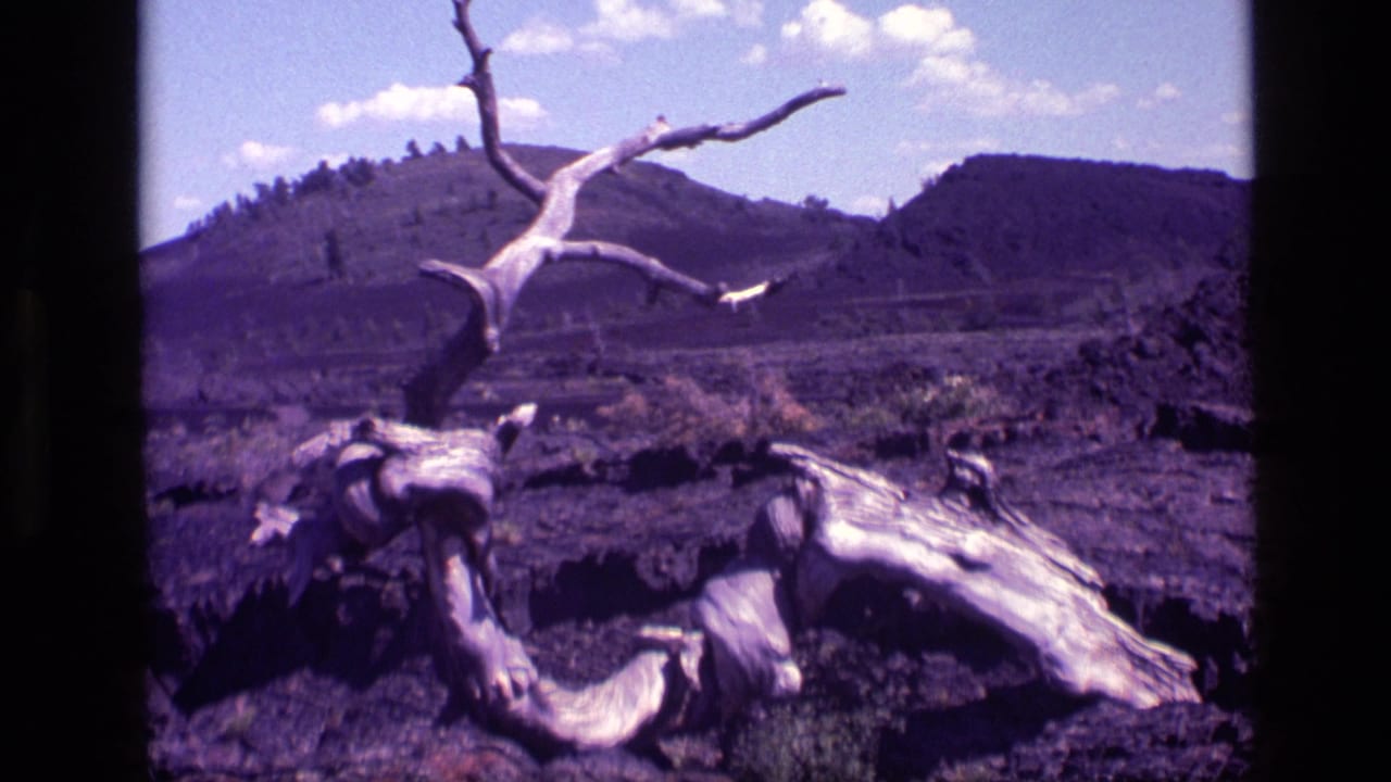 Twisted dead trunk and rough dark terrain with hills under a bright sky.